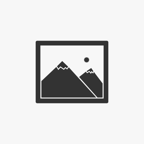 Campingaz Brûleur Carena R